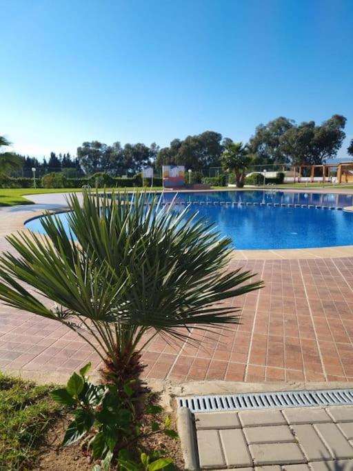 Complexe Riviera Cabo Airport Piscine Wifi Parking Security * Cabo Negro